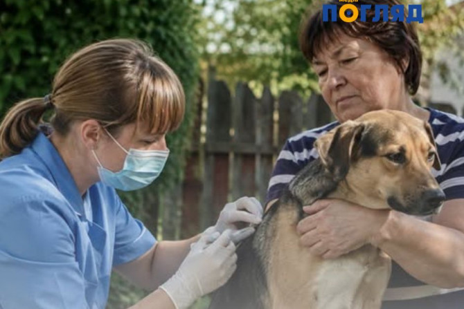 Погляд — новини Київщини онлайн - a2bb283a-a975-480e-ab64-95cb6e40eac7 - зображення